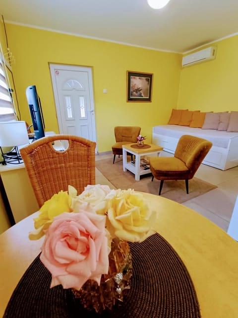 Vrdnik apartmani Sara Apartment in Vojvodina