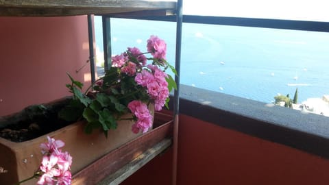 Balcony/Terrace, Balcony/Terrace