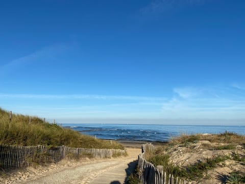 Beach, Windsurfing