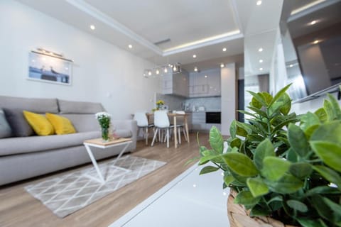 TV and multimedia, Kitchen or kitchenette, Living room, Seating area, Dining area, minibar, pet friendly