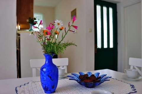 Holiday house Silvana Villa in Šibenik-Knin County, Croatia