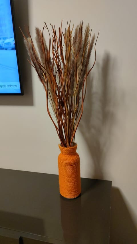 Aleda Kaskada Apartment in Szczecin