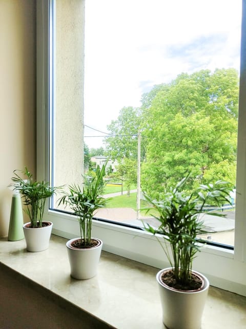 Day, Natural landscape, Garden, View (from property/room), Garden view