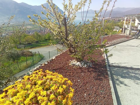 Property building, Mountain view