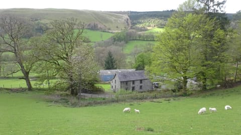 Property building, Natural landscape