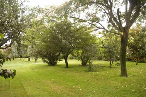 Vivienda tradicional con jardín y patio interior House in O Salnés