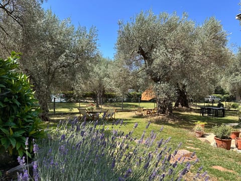 Garden, Garden view