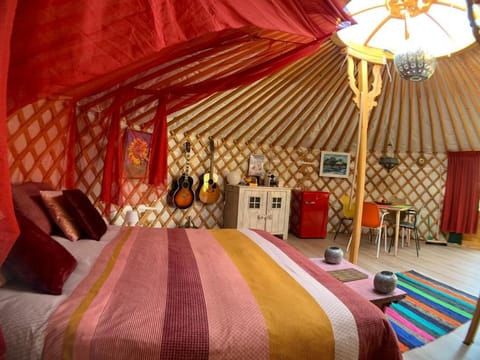 Overnachten in een luxe yurt! Luxury tent in Zeeland, Netherlands
