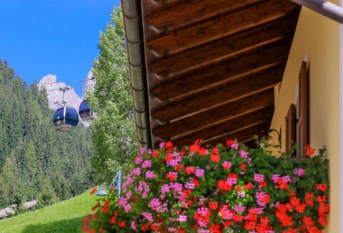 Property building, Landmark view