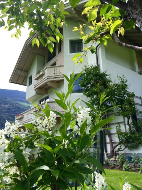 Property building, Summer, Garden, Garden view