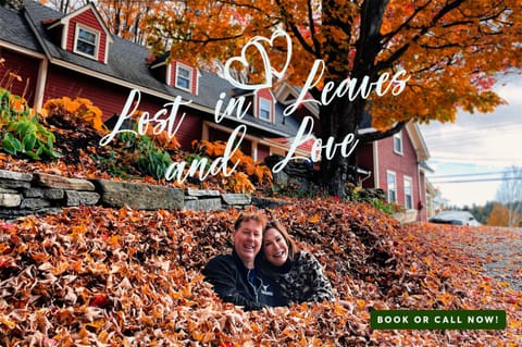 Property building, Natural landscape, Guests