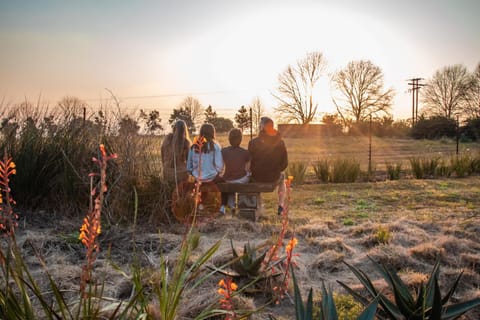 Spring, Day, People, Natural landscape, Garden, Garden, Garden view, Landmark view, Sunrise, Sunset, group of guests