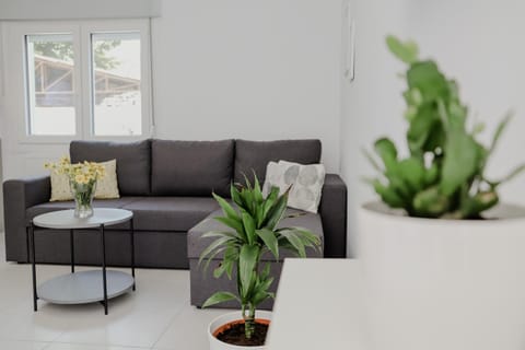 The Olive House Apartment in Nea Peramos