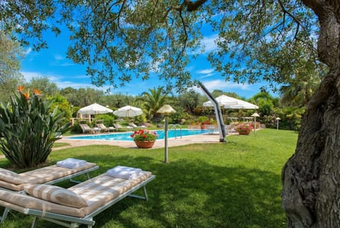 Garden, Garden view, Pool view, Swimming pool, sunbed