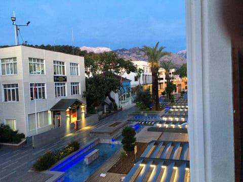 Property view