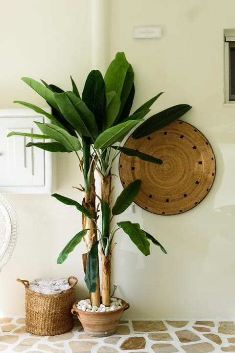 Property building, Decorative detail