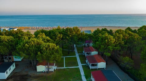Beach, Evening entertainment