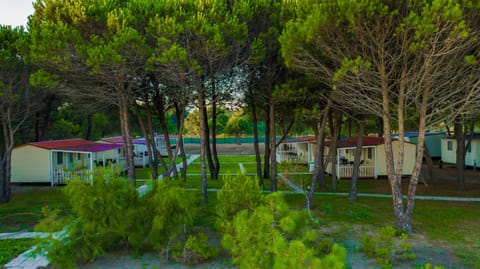 Spring, Day, Garden, Garden view