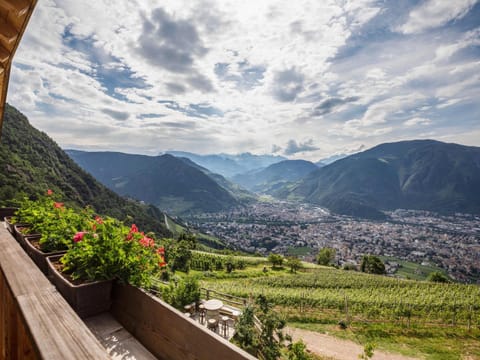 Wernerhof Fewo Latemar Apartment in Bolzano