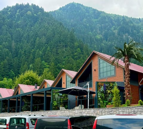Property building, Natural landscape