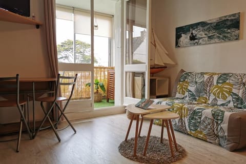 Appartement cosy Roscoff 50 m plage thalasso WIFI PARKING Apartment in Finistere