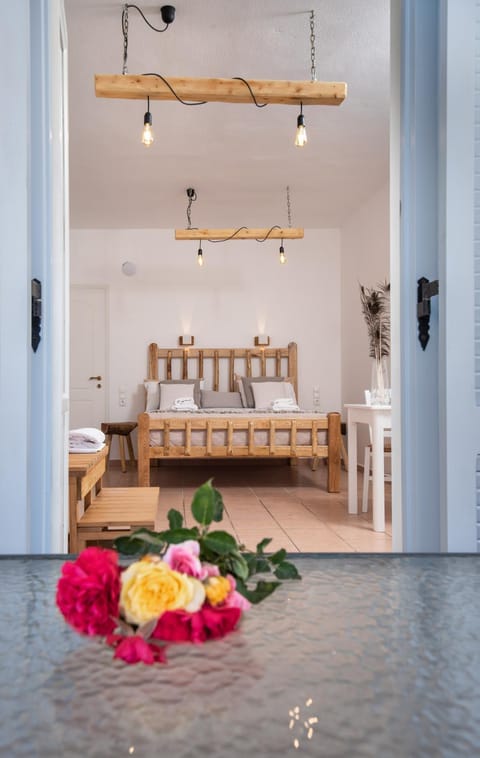 Aqua Naxos Apartments & Suites Bed and Breakfast in Agios Prokopios