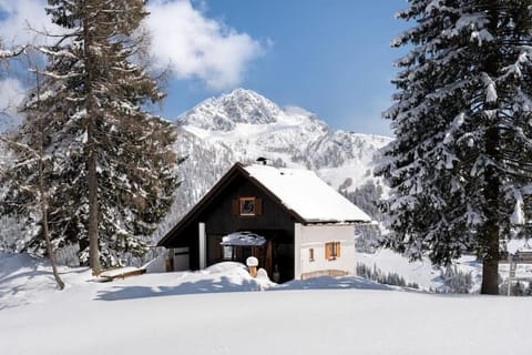 Gemütliche Skihütte an der Piste Ski-in & Ski-out Chalet in Friuli-Venezia Giulia