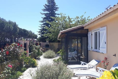 Patio, Facade/entrance