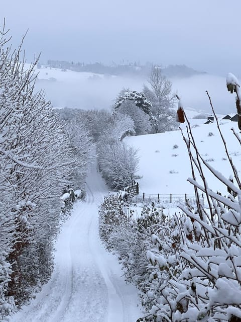 Treeside woodhouse Chalet in Hawkshead