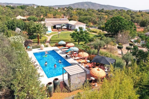 Property building, Spring, Day, Natural landscape, Garden, Garden view, Mountain view, Pool view, Swimming pool, sunbed