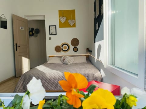 Chambre privée au coeur de Calais Vacation rental in Calais