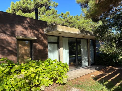 Property building, Facade/entrance, Garden