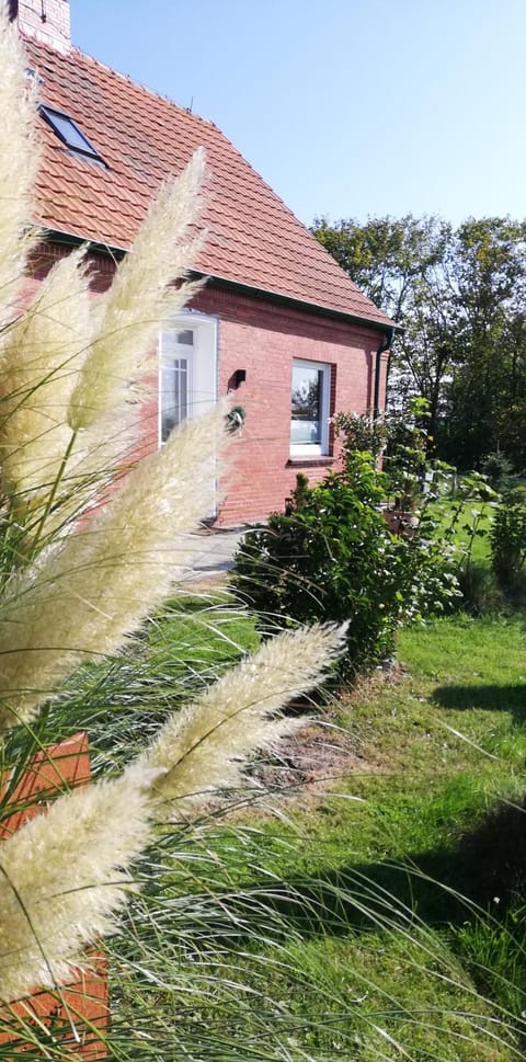 Property building, Garden, Garden view
