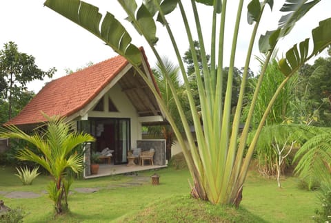 Property building, Natural landscape, Garden, Garden view