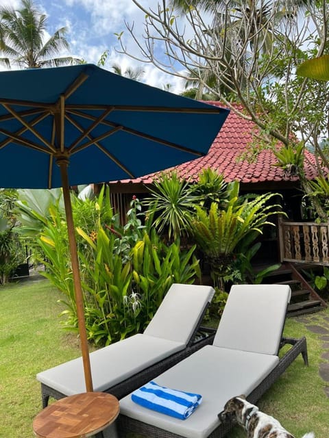 Patio, Day, Garden, Garden view, sunbed