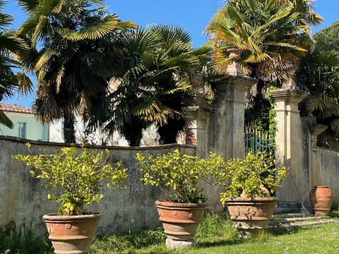 Property building, Spring, Garden, Garden view