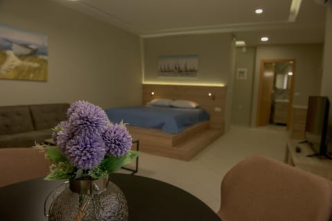 Rafaela Apartments Apartment in Lasithi