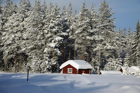 Property building, Natural landscape, Winter