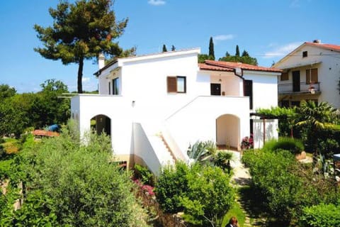 Property building, Garden view
