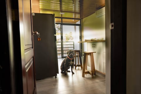 Balcony/Terrace, Pets, kitchen, air conditioner
