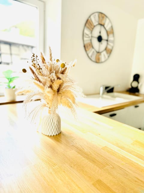 Cocoon House in Wallonia, Belgium