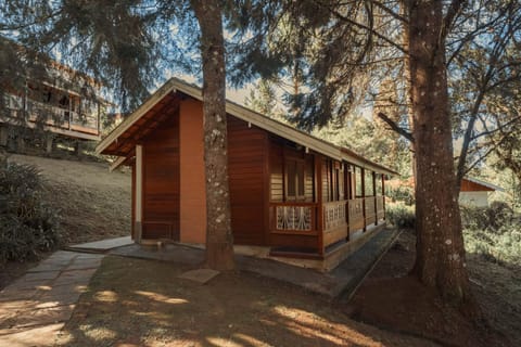 Property building, Day, Natural landscape