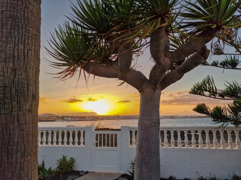 Garden, Photo of the whole room, Sunset