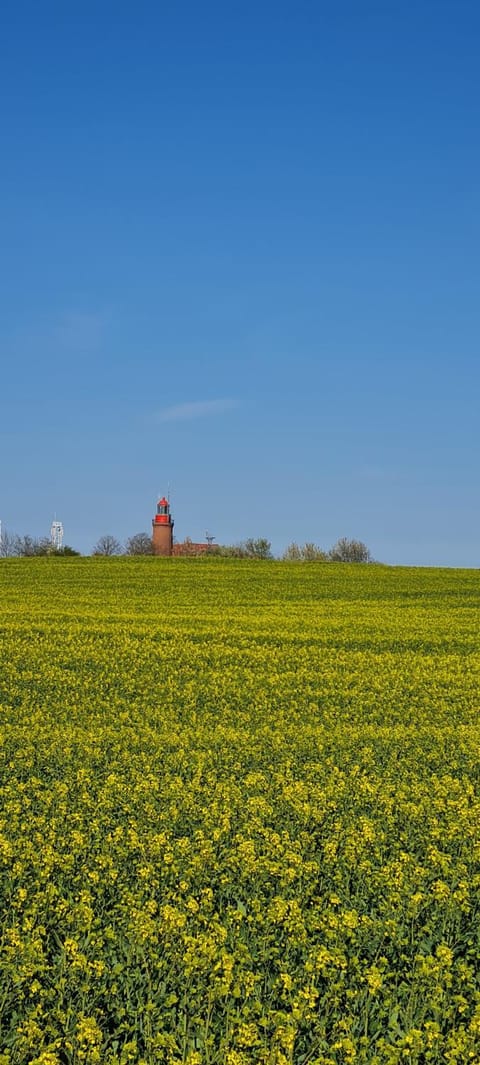 Ferienwohnung im Leuchtturmort Bastorf Apartment in Kühlungsborn