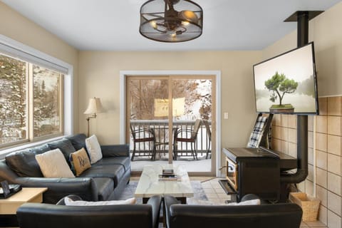 River Park 1242 House in Ouray