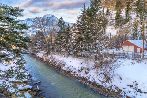 River Park 1242 House in Ouray
