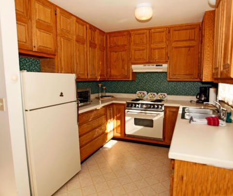 River Park 1245 House in Ouray