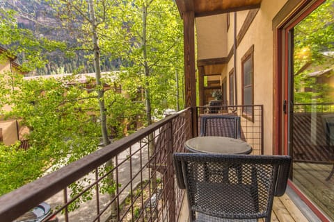 Elkhorn Townhome 1939 House in Ouray