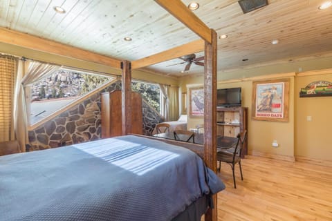 Lotus Mountain Suites West Suite Apartment in Ouray