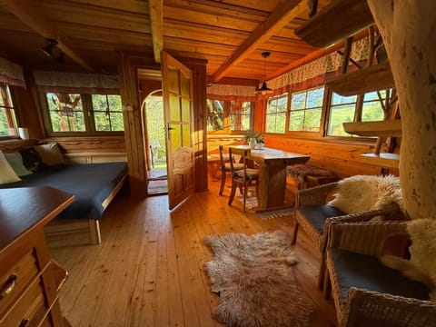 Living room, Seating area, Dining area, Pets